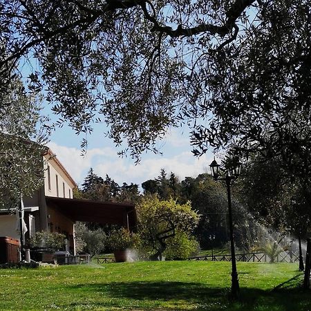 Agriturismo La Contea Senigallia Vila San Gaudenzio Exterior foto