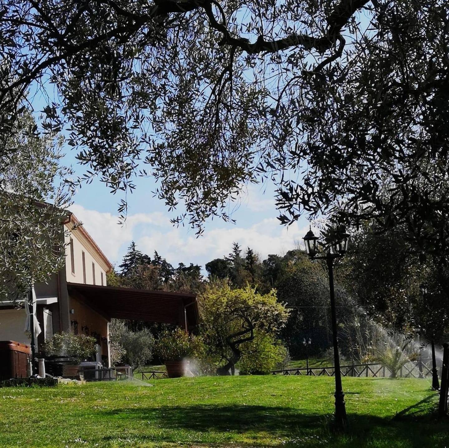 Agriturismo La Contea Senigallia Vila San Gaudenzio Exterior foto